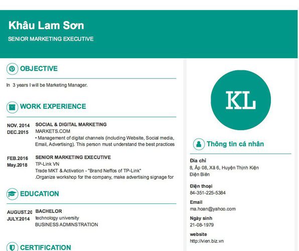 Mẫu CV SENIOR MARKETING EXECUTIVE