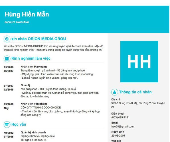 Mẫu CV account executive