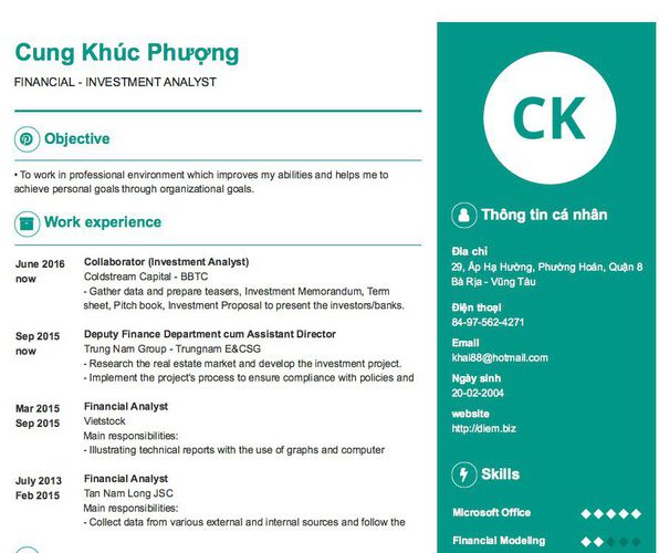 Mẫu CV FINANCIAL - INVESTMENT ANALYST