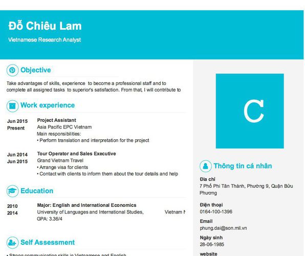 Mẫu CV Vietnamese Research Analyst