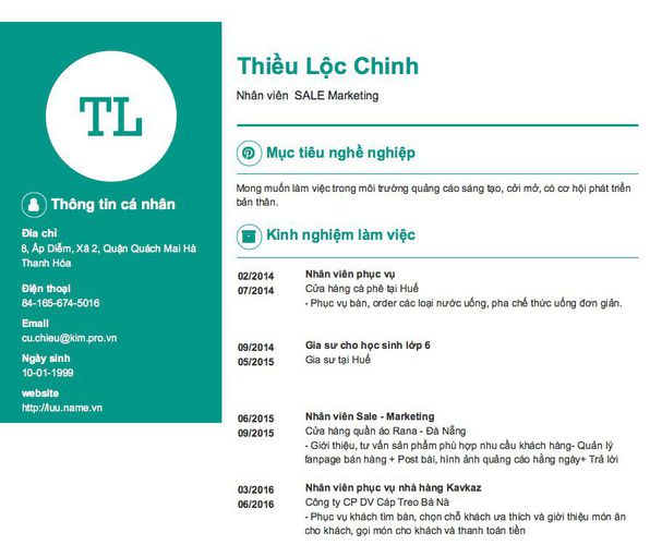 Mẫu CV Nhân viên  SALE Marketing