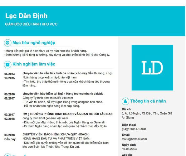 Mẫu CV GIÁM ĐỐC ĐIỀU HÀNH KHU VỰC