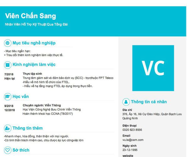 Mẫu CV Nhân Viên Hỗ Trợ Kỹ Thuật Qua Tổng Đài