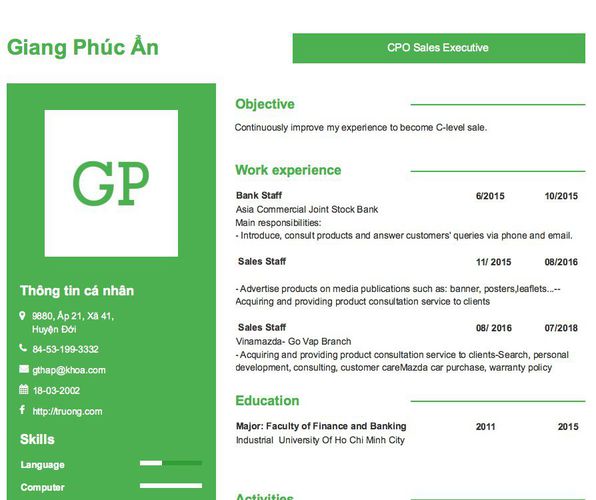 Mẫu CV CPO Sales Executive