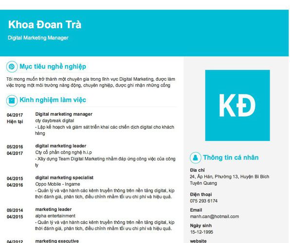 Mẫu CV Digital Marketing Manager