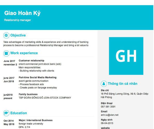 Mẫu CV Relationship manager