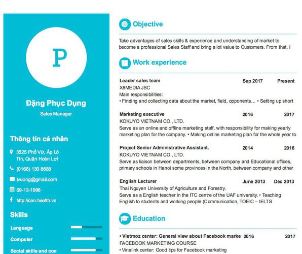Mẫu CV Sales Manager
