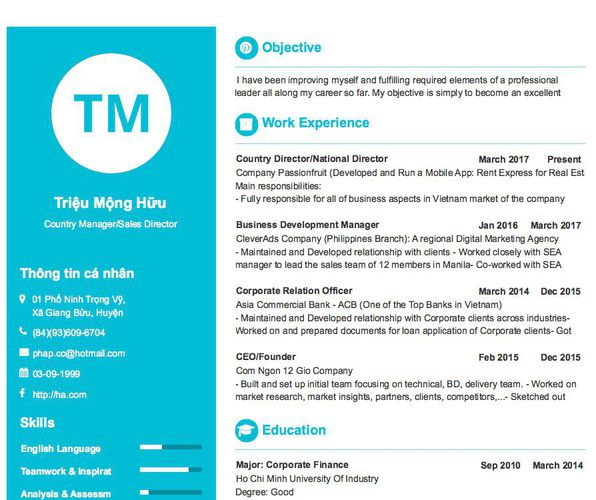 Mẫu CV Country Manager/Sales Director