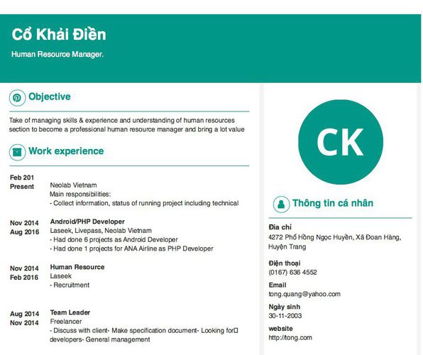 Mẫu CV Human Resource Manager.