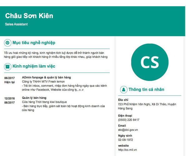 Mẫu CV Sales Assistant
