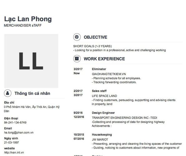 Mẫu CV MERCHANDISER sTAFF