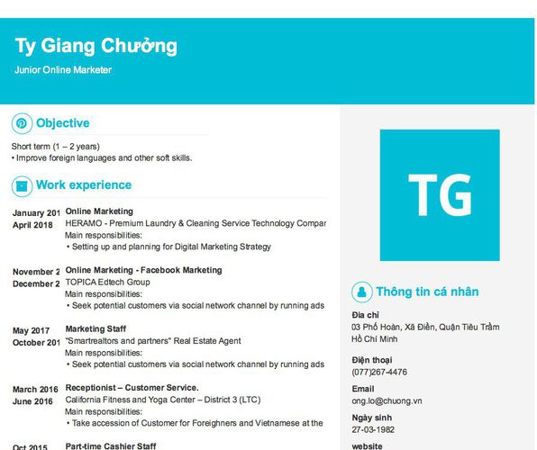 Mẫu CV Junior Online Marketer