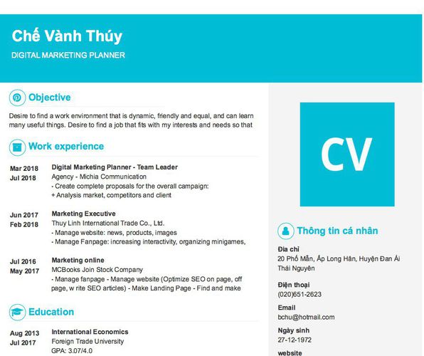 Mẫu CV DIGITAL MARKETING PLANNER