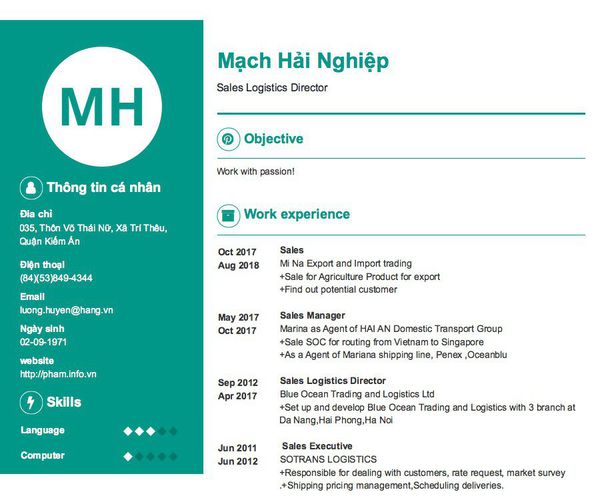 Mẫu CV Sales Logistics Director