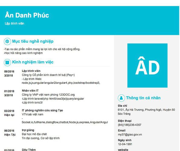 Mẫu CV Lập trình viên