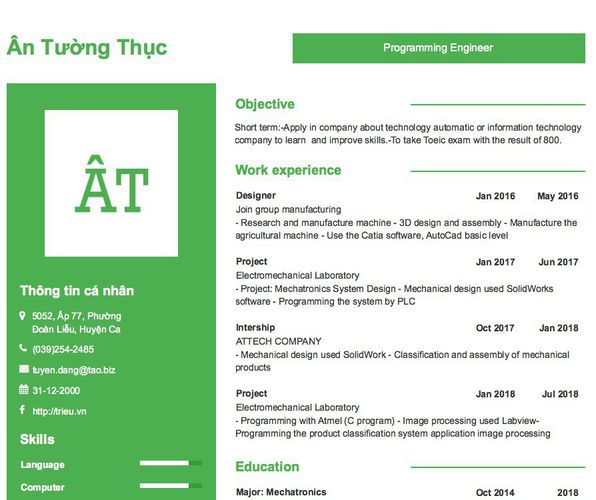 Mẫu CV Programming Engineer