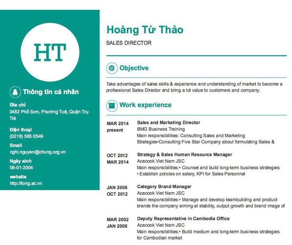 Mẫu CV SALES DIRECTOR