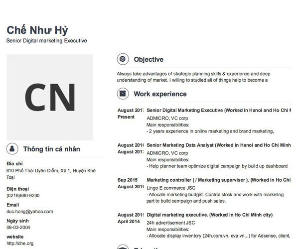 Mẫu CV Senior Digital marketing Executive