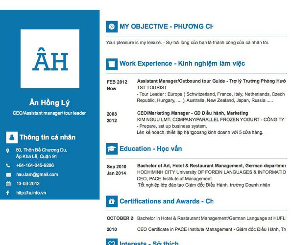 Mẫu CV CEO/Assistant manager/ tour leader