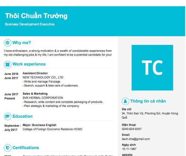 Mẫu CV Business Development Executive