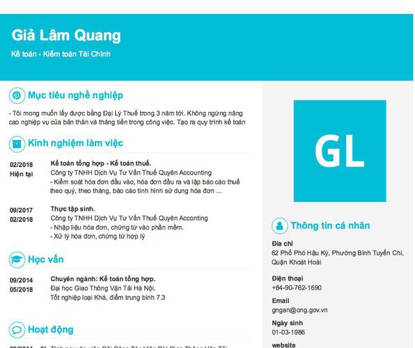Mẫu CV Kế toán - Kiểm toán Tài Chính