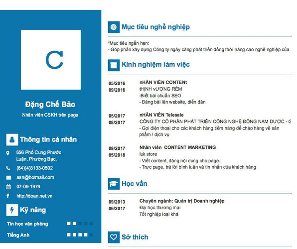 Mẫu CV Nhân viên CSKH trên page
