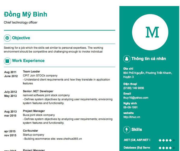 Mẫu CV Chief technology officer