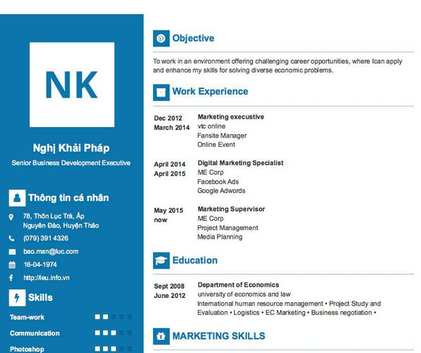 Mẫu CV Senior Business Development Executive