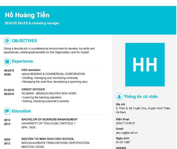 Mẫu CV SENIOR SALES & marketing manager