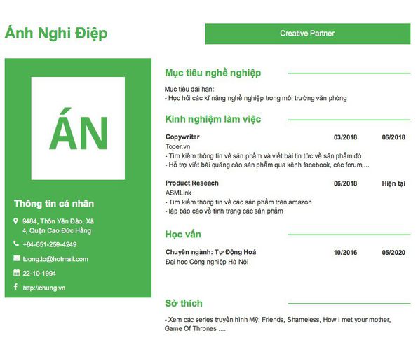 Mẫu CV Creative Partner