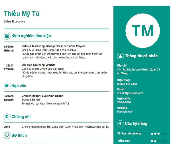 Mẫu CV Sales Executive
