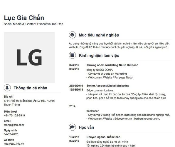 Mẫu CV Social Media & Content Executive Ten Ren