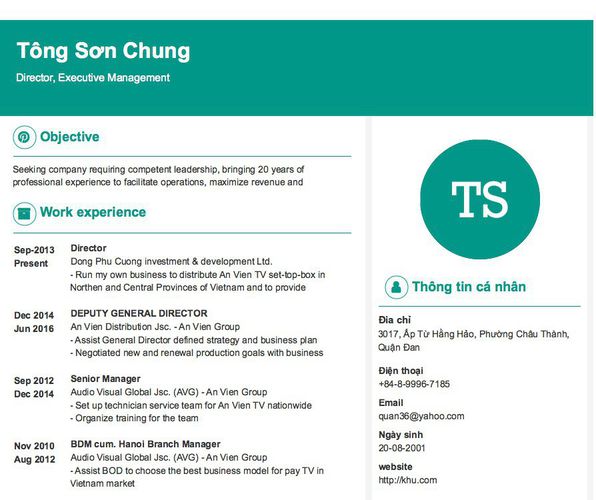 Mẫu CV Director, Executive Management