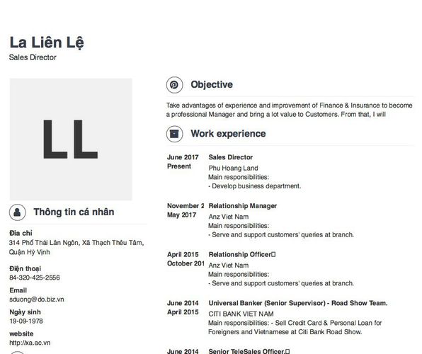 Mẫu CV Sales Director