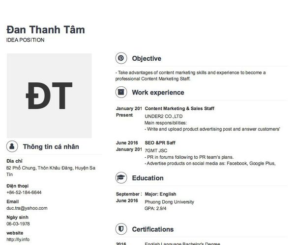 Mẫu CV IDEA POSITION