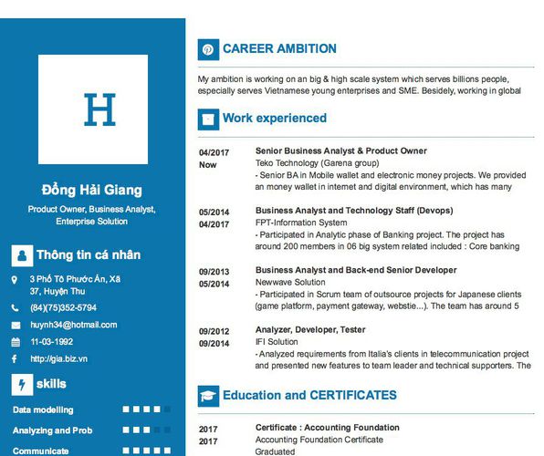 Mẫu CV Product Owner, Business Analyst, Enterprise Solution