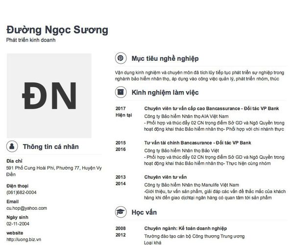Mẫu CV Phát triển kinh doanh