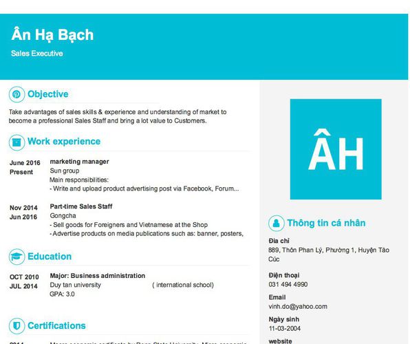 Mẫu CV Sales Executive