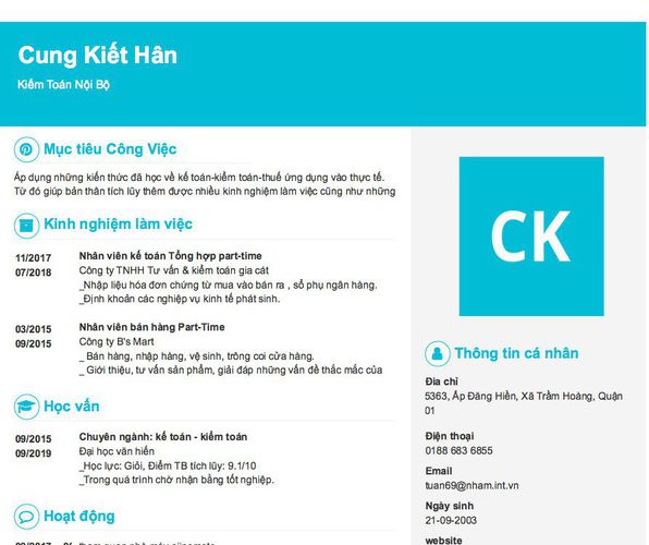 Mẫu CV Kiểm Toán Nội Bộ