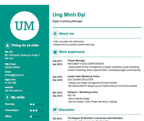 Mẫu CV Digital marketing Manager