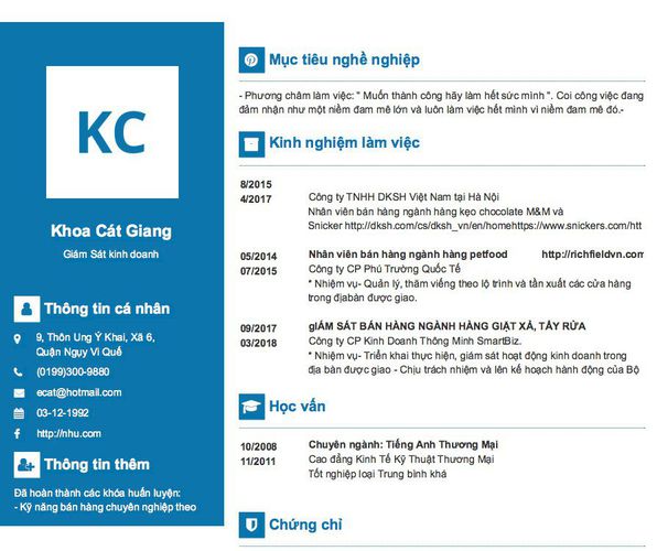 Mẫu CV Giám Sát kinh doanh