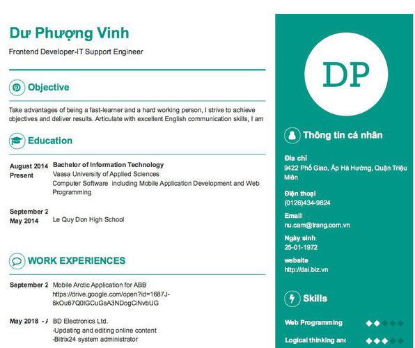 Mẫu CV Frontend Developer-IT Support Engineer