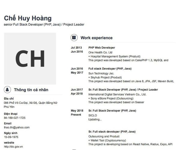 Mẫu CV senior Full Stack Developer (PHP, Java) / Project Leader