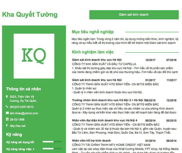 Mẫu CV Giám sát kinh doanh