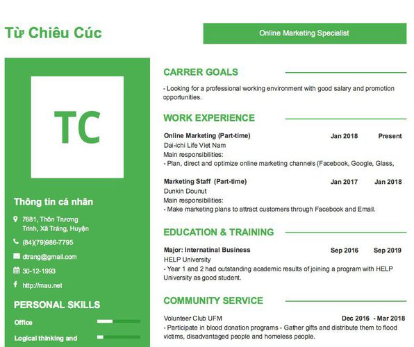 Mẫu CV Online Marketing Specialist