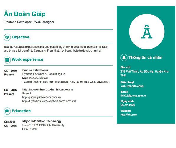 Mẫu CV Frontend Developer - Web Designer