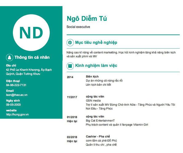 Mẫu CV Social executive