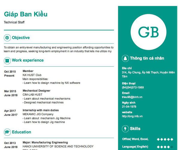 Mẫu CV Technical Staff