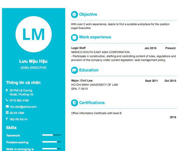 Mẫu CV LEGAL EXECUTIVE