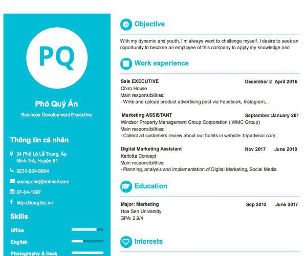 Mẫu CV Business Development Executive